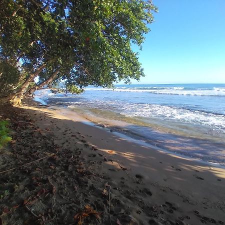 Escape Caribeno Hotel Puerto Viejo de Talamanca Buitenkant foto