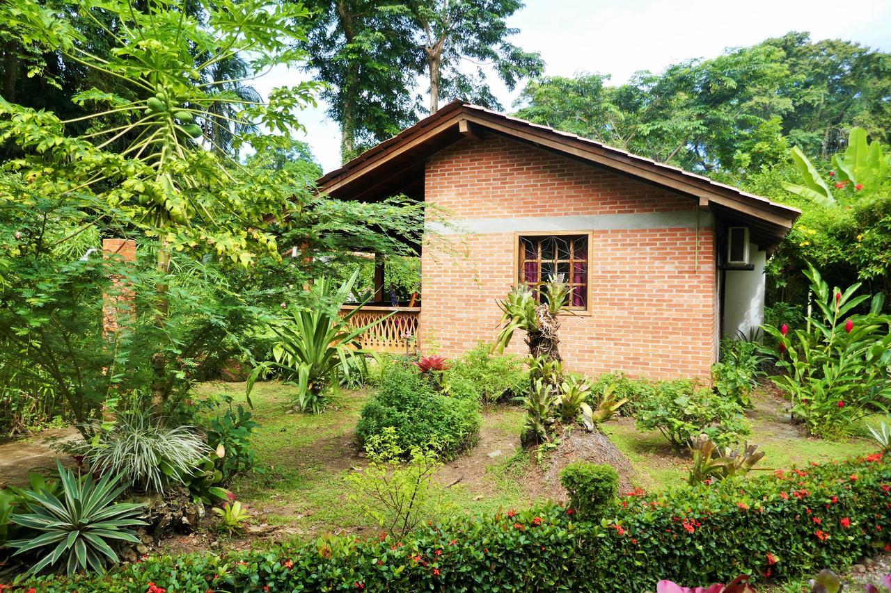 Escape Caribeno Hotel Puerto Viejo de Talamanca Buitenkant foto