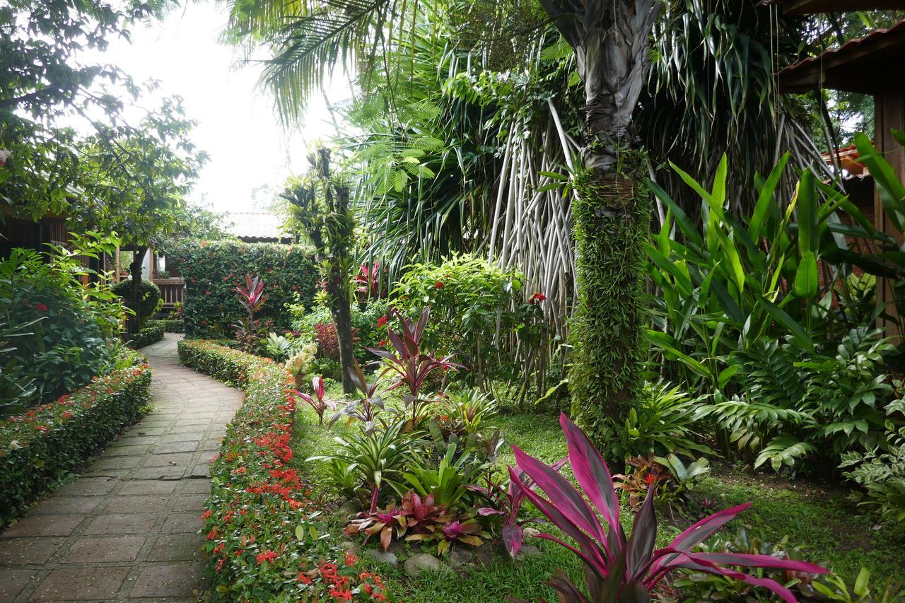 Escape Caribeno Hotel Puerto Viejo de Talamanca Buitenkant foto